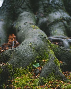 Image post by @tanczacachmura on Instagram