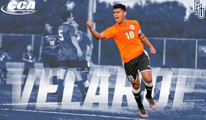 Image post by @fpusunbirds on Twitter