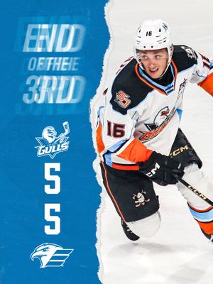 Image post by @SDGullsAHL on Twitter