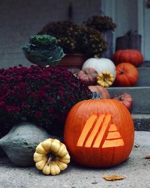 Image post by @aldiusa on Instagram