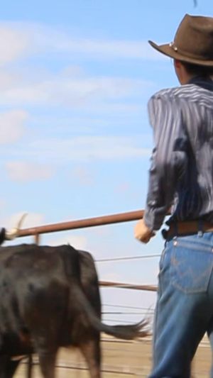 Video post by @herculesagmfg on Facebook