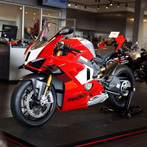 Image post by @panigalers on Instagram