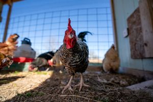 Image post by @txextension on Instagram