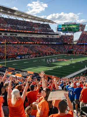 Image post by @bengals on Instagram