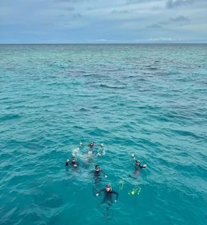 Image post by @cieestudyabroad on Instagram