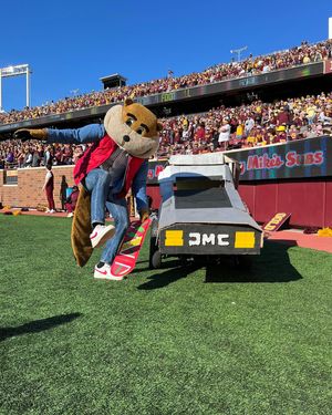 Image post by @goldythegopher on Instagram