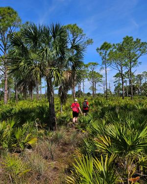 Image post by @visitsarasotacounty on Instagram