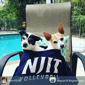 Image post by @njithighlanders on Instagram