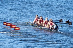 Image post by @bcrowing on Instagram