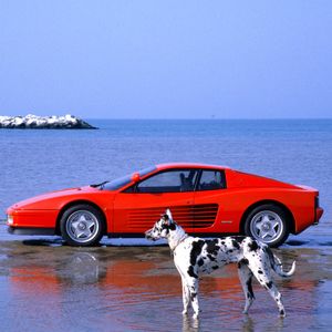 Image post by @ferrari on Instagram