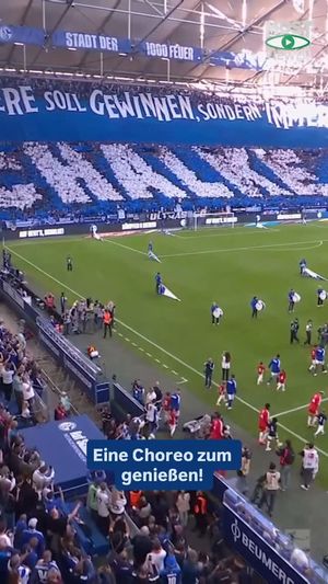 Video post by @sport_bild on Instagram