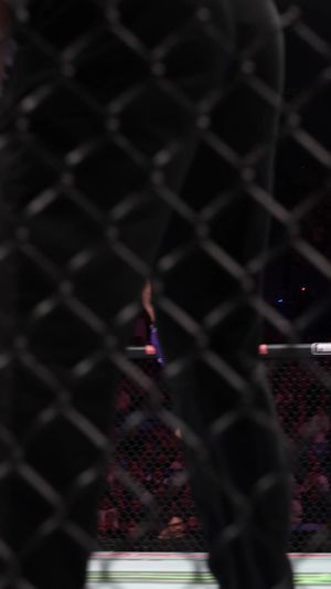 Video post by @ufc on TikTok