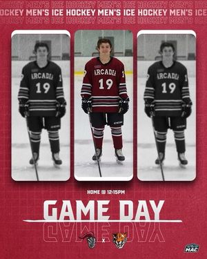 Image post by @arcadia_mih on Instagram