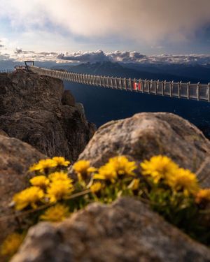Image post by @whistlerblackcomb on Instagram