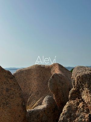 Image post by @alevimilano on Instagram