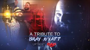 Image post by @SKWrestling_ on Twitter