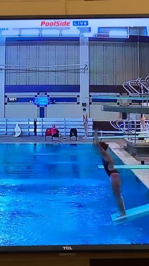 Video post by @lala_the_diver on Instagram