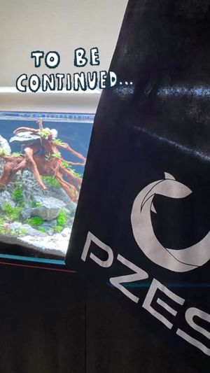 Video post by @aqualupi on Instagram