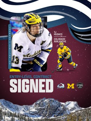 Image post by @hamiltonsteelhockey on Instagram