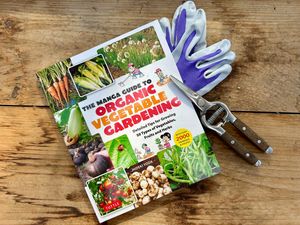 Image post by @tuttlepublishing on Instagram