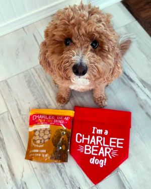 Image post by @charlee_bear_dogtreats on Instagram