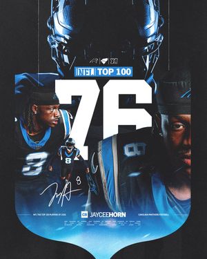 Image post by @panthers on Instagram