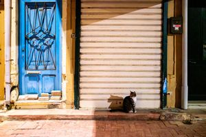 Image post by @milesbjordan on Instagram