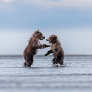 Image post by @discovery on Instagram