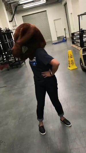 Video post by @JessRamberg on Twitter/X
