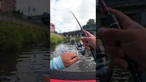 Video post by @jonasederfishing on YouTube