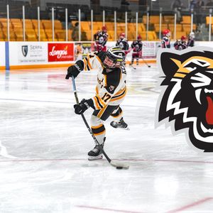 Image post by @placeofpuck on Instagram