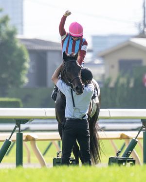 Image post by @worldhorseracing on Instagram