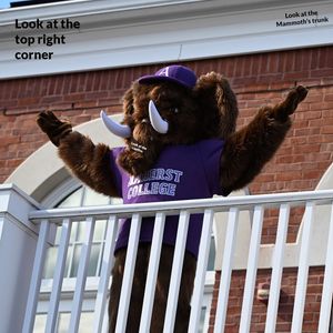Image post by @amherststudentaffairs on Instagram