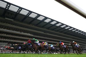 Image post by @breederscup on Instagram