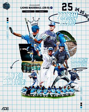 Image post by @lionsbaseball25 on Instagram