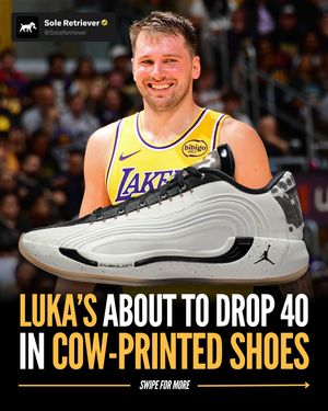 Image post by @soleretriever on Instagram
