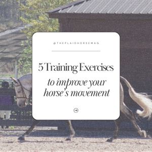 Image post by @theplaidhorsemag on Instagram