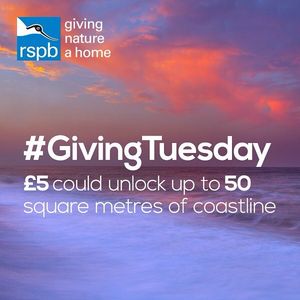 Image post by @rspb on Instagram