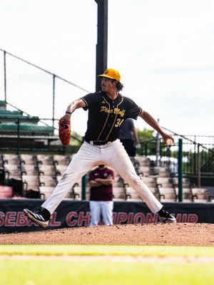 Image post by @uapblionsbsb on Instagram