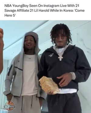 Image post by @nojumper on Instagram