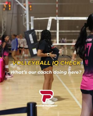 Image post by @PLAvolleyball on Facebook