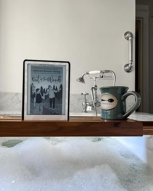 Image post by @blondiereads_ on Instagram