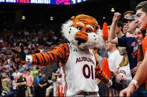 Image post by @aubiethetiger01 on Instagram