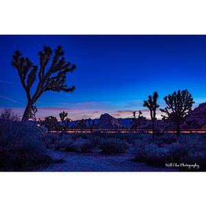 Image post by @willchuphotography on Instagram