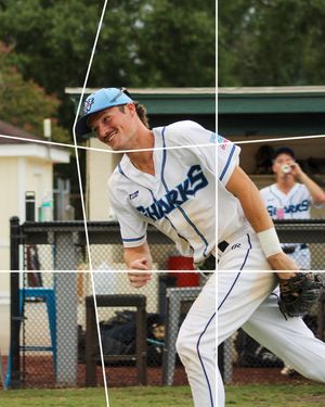 Image post by @ilmsharks on Instagram