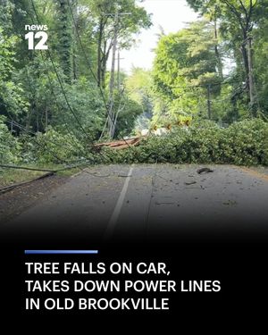 Image post by @news12li on Instagram