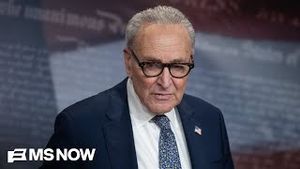 Video post by @msnbc on YouTube