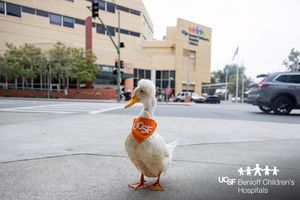 Image post by @ucsfchildrens on Instagram