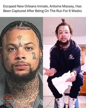 Image post by @nojumper on Instagram