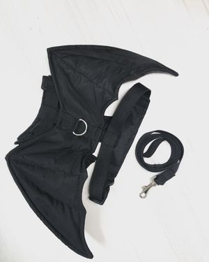 Image post by @babaamstore on Instagram